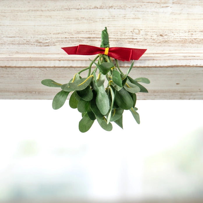 Silk Mistletoe