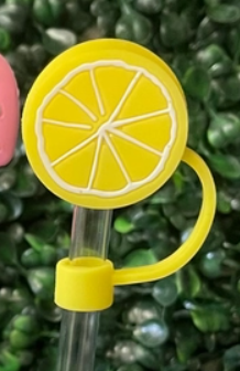 Fruit Straw Toppers