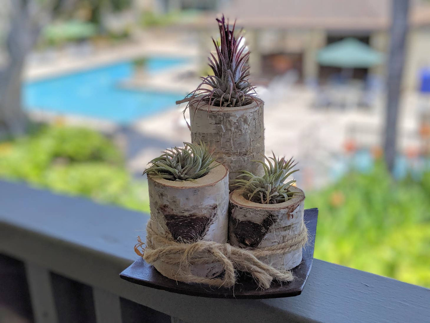 Birch Decor Holder Set