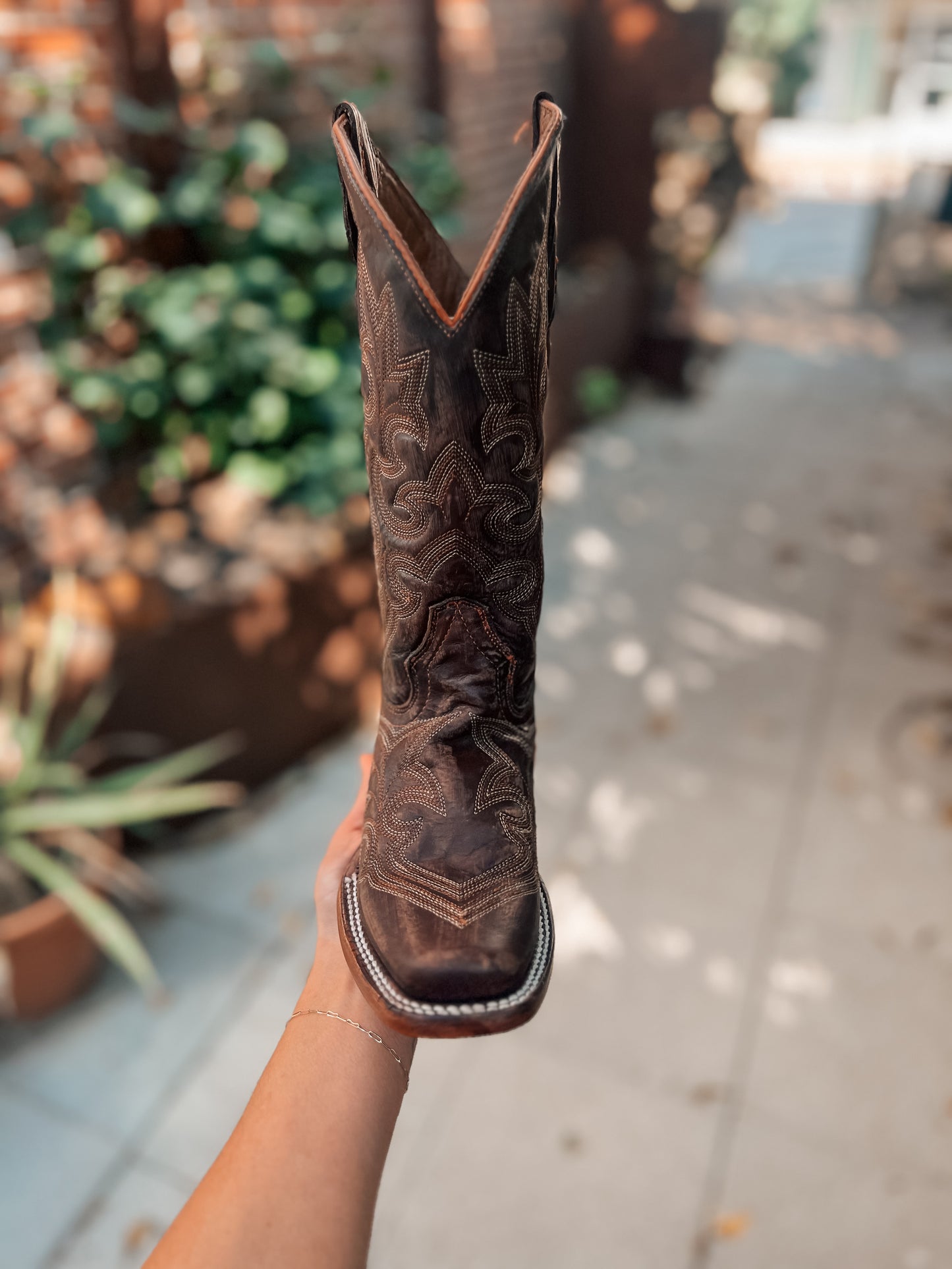 Circle G Brown Embroidery Square Toe Boot