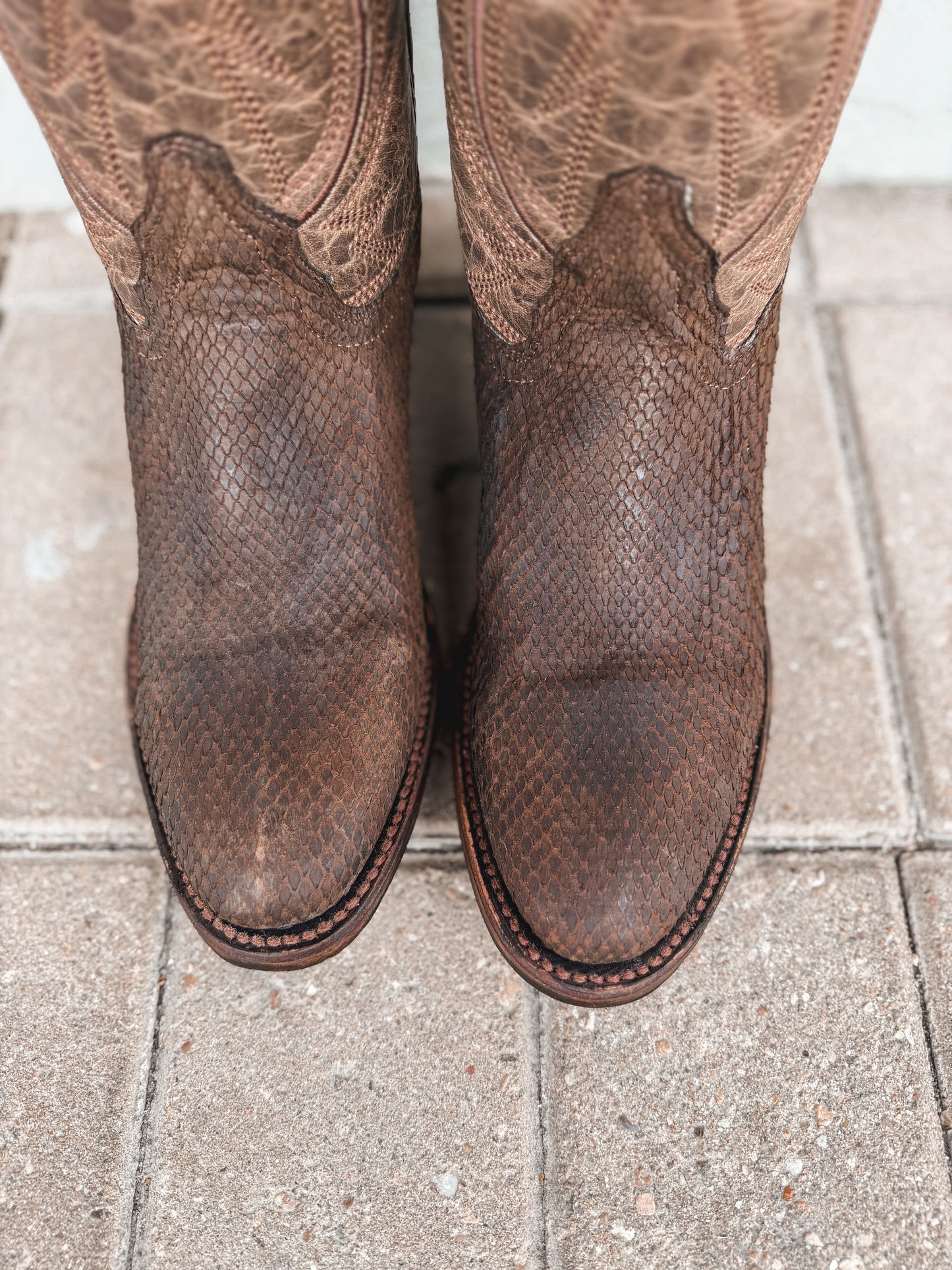 Men's Circle G Tan Python Round Toe Boot
