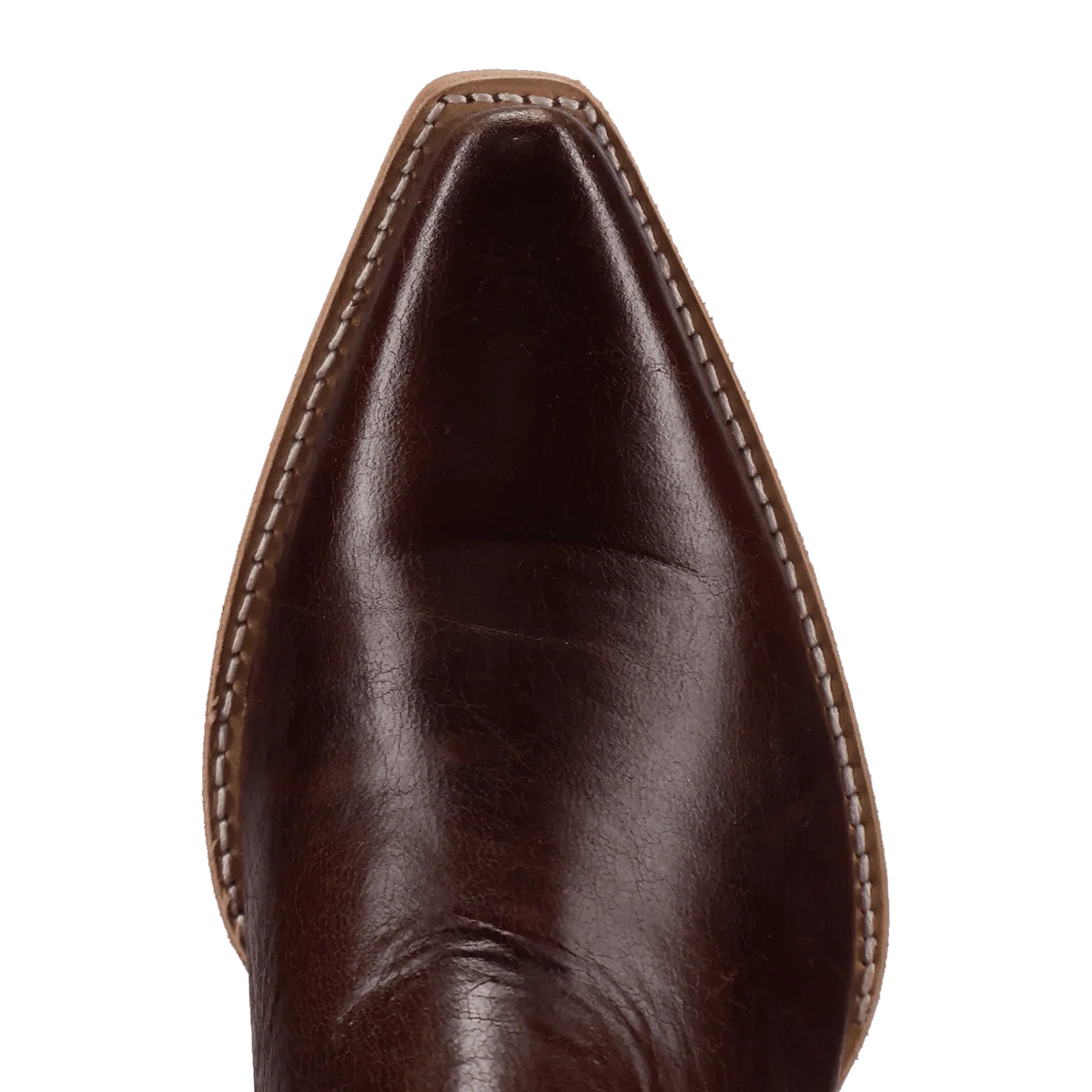 Dan Post Women's Saffron Snip Toe Boot in Briar