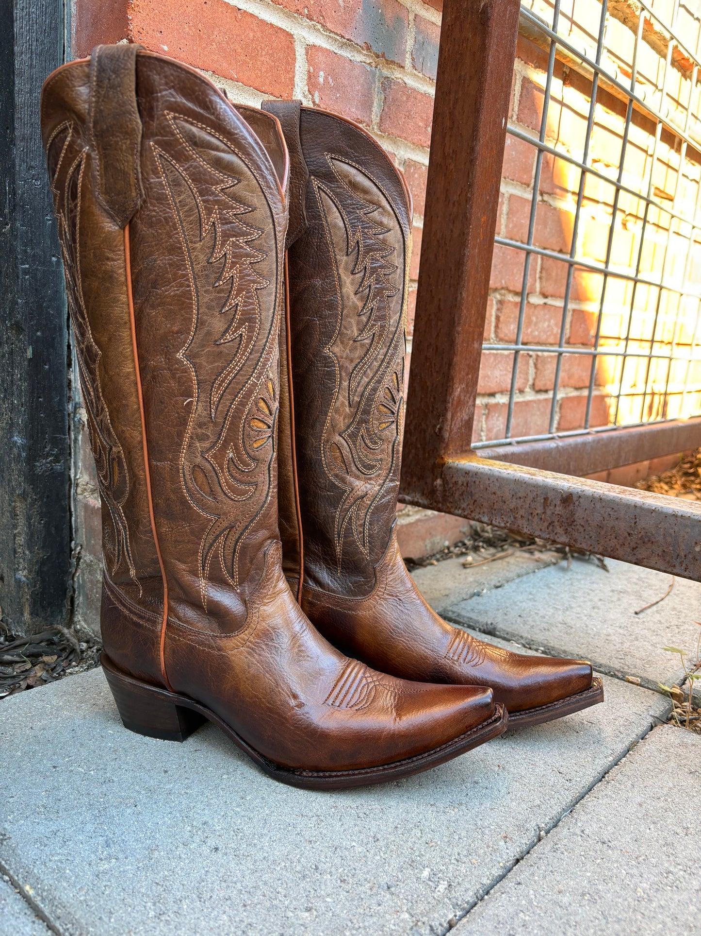 Corral LD Bronze Inlay & Embroidery Tall Top Boot