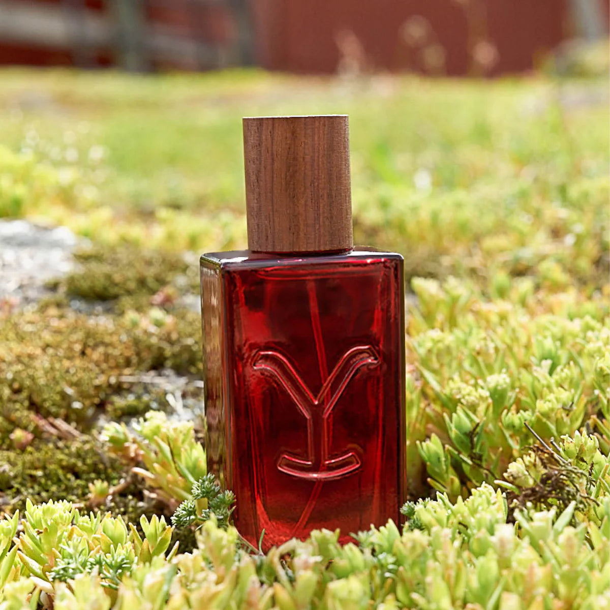 Women's Yellowstone Tornado Perfume