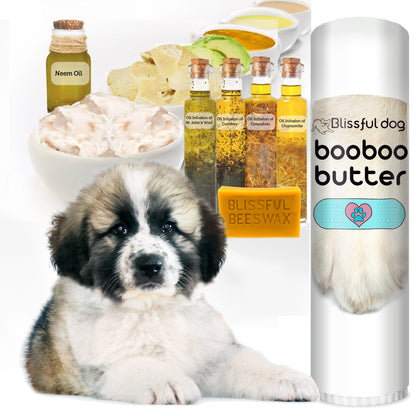 Doggy Boo Boo Butter